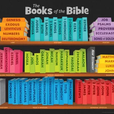 Bible Books image