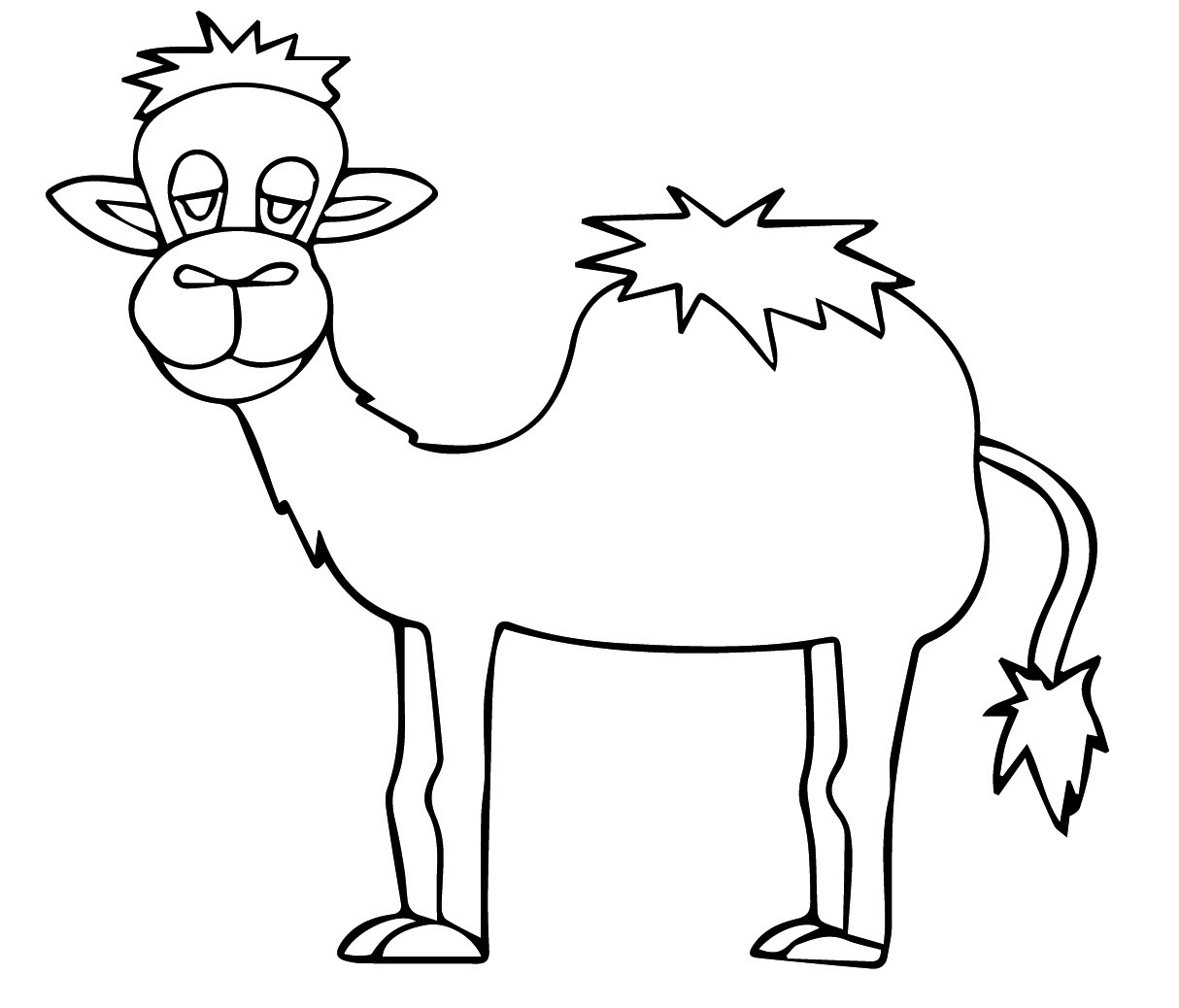 Camel hero image
