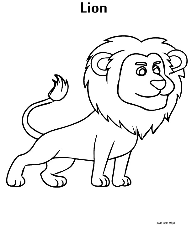 Lion hero image